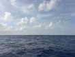 Saturday July 18th 2026 Tropical Destiny: USCGC Duane reef report photo 1