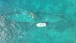 Sunday July 19th 2026 Tropical Destiny: Benwood Wreck reef report photo 1