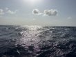 Monday July 20th 2026 Tropical Destiny: USCGC Duane reef report photo 1