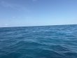 Tuesday July 21st 2026 Tropical Destiny: ChristmasTree Cave reef report photo 1
