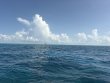 Thursday July 23rd 2026 Tropical Destiny: JJs Cave reef report photo 1