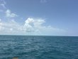 Thursday July 23rd 2026 Tropical Destiny: Benwood Wreck reef report photo 1