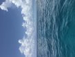 Saturday July 25th 2026 Tropical Destiny: Donut Hole reef report photo 1