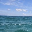 Tuesday July 28th 2026 Tropical Destiny: Christ Statue reef report photo 1