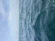Monday August 3rd 2026 Tropical Destiny: North Star reef report photo 1