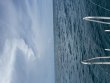 Monday August 3rd 2026 Tropical Destiny: Undersea Highway reef report photo 1