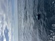 Tuesday August 4th 2026 Tropical Destiny: Spiegel Grove reef report photo 1
