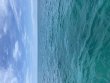 Tuesday August 4th 2026 Tropical Destiny: The Horseshoe reef report photo 1