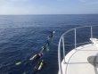 Sunday June 17th 2018 Tropical Destiny: Spiegel Grove reef report photo 1