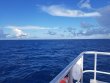 Thursday September 6th 2018 Tropical Destiny: USCGC Duane reef report photo 1