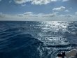 Wednesday September 26th 2018 Tropical Destiny: Spiegel Grove reef report photo 1