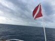 Monday December 10th 2018 Tropical Destiny: Spiegel Grove reef report photo 1