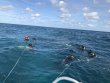 Saturday January 19th 2019 Tropical Destiny: Eagle Ray Alley reef report photo 1