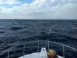 Monday December 2nd 2019 Tropical Destiny: Spiegel Grove reef report photo 1