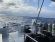 Thursday January 28th 2021 Tropical Explorer: USCGC Duane reef report photo 1