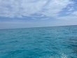 Sunday April 18th 2021 Tropical Explorer: Drift Molasses reef report photo 1