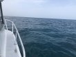 Tuesday June 15th 2021 Tropical Explorer: Benwood Wreck reef report photo 1