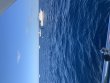 Saturday January 15th 2022 Tropical Explorer: USCGC Duane reef report photo 1