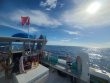 Wednesday August 31st 2022 Tropical Explorer: Drift Molasses reef report photo 1