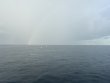 Monday September 15th 2025 Tropical Explorer: Spiegel Grove reef report photo 1