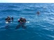 Thursday December 17th 2015 Tropical Explorer: Rebreather - Drift FR reef report photo 1