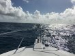 Wednesday December 30th 2015 Tropical Explorer: Spiegel Grove reef report photo 1