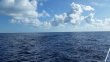 Wednesday June 22nd 2016 Tropical Explorer: Spiegel Grove reef report photo 1