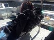 Thursday November 9th 2017 Tropical Explorer: Rebreather - Drift MO reef report photo 1