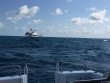 Saturday April 7th 2018 Tropical Explorer: Drift Molasses reef report photo 1