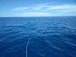 Sunday June 3rd 2018 Tropical Explorer: USCGC Bibb reef report photo 1