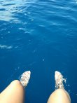 Sunday June 17th 2018 Tropical Explorer: USCGC Duane reef report photo 1