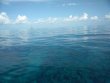 Sunday August 12th 2018 Tropical Explorer: Drift Molasses reef report photo 1