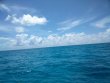 Thursday September 6th 2018 Tropical Explorer: CRF Nursery reef report photo 1