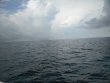 Saturday September 8th 2018 Tropical Explorer: Drift Molasses reef report photo 1