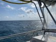 Sunday February 14th 2021 Tropical Legend: Benwood Wreck reef report photo 1