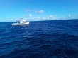 Sunday December 5th 2021 Tropical Legend: Benwood Wreck reef report photo 1