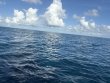 Saturday September 27th 2025 Tropical Legend: Nine Channel reef report photo 1