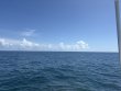 Saturday September 27th 2025 Tropical Legend: Eagle Ray Alley reef report photo 1