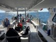 Wednesday October 15th 2025 Tropical Legend: Christ Statue reef report photo 1