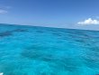 Monday June 15th 2026 Tropical Legend: Student/Classes Trip reef report photo 1