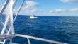 Wednesday December 20th 2017 Tropical Legend: North Star reef report photo 1