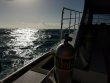 Friday January 12th 2018 Tropical Legend: Eagle Ray Alley reef report photo 1