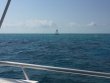 Monday March 19th 2018 Tropical Legend: North Star reef report photo 1