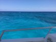 Saturday April 7th 2018 Tropical Legend: Drift Molasses reef report photo 1