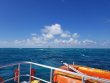 Thursday October 18th 2018 Tropical Legend: Eagle Ray Alley reef report photo 1