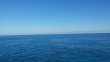 Thursday December 18th 2014 Tropical Odyssey: North Star reef report photo 1