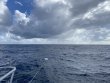 Sunday November 6th 2022 Tropical Odyssey: Spiegel Grove reef report photo 1