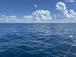 Saturday September 9th 2023 Tropical Odyssey: Spiegel Grove reef report photo 1