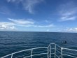 Friday September 22nd 2023 Tropical Odyssey: Student/Classes Trip reef report photo 1