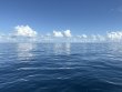 Sunday August 17th 2025 Tropical Odyssey: Spiegel Grove reef report photo 1